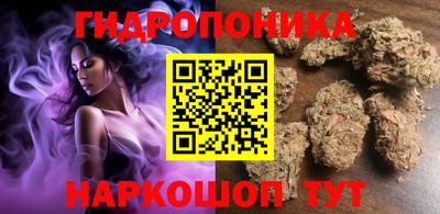 индика Тара
