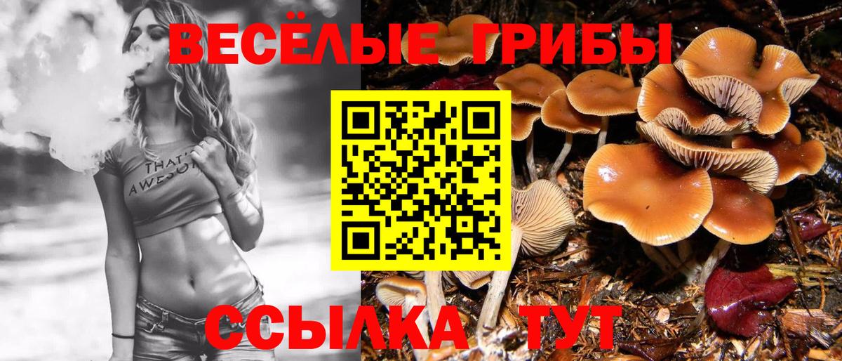 Галлюциногенные грибы Psilocybine cubensis  Вход с VPN  Лобня 